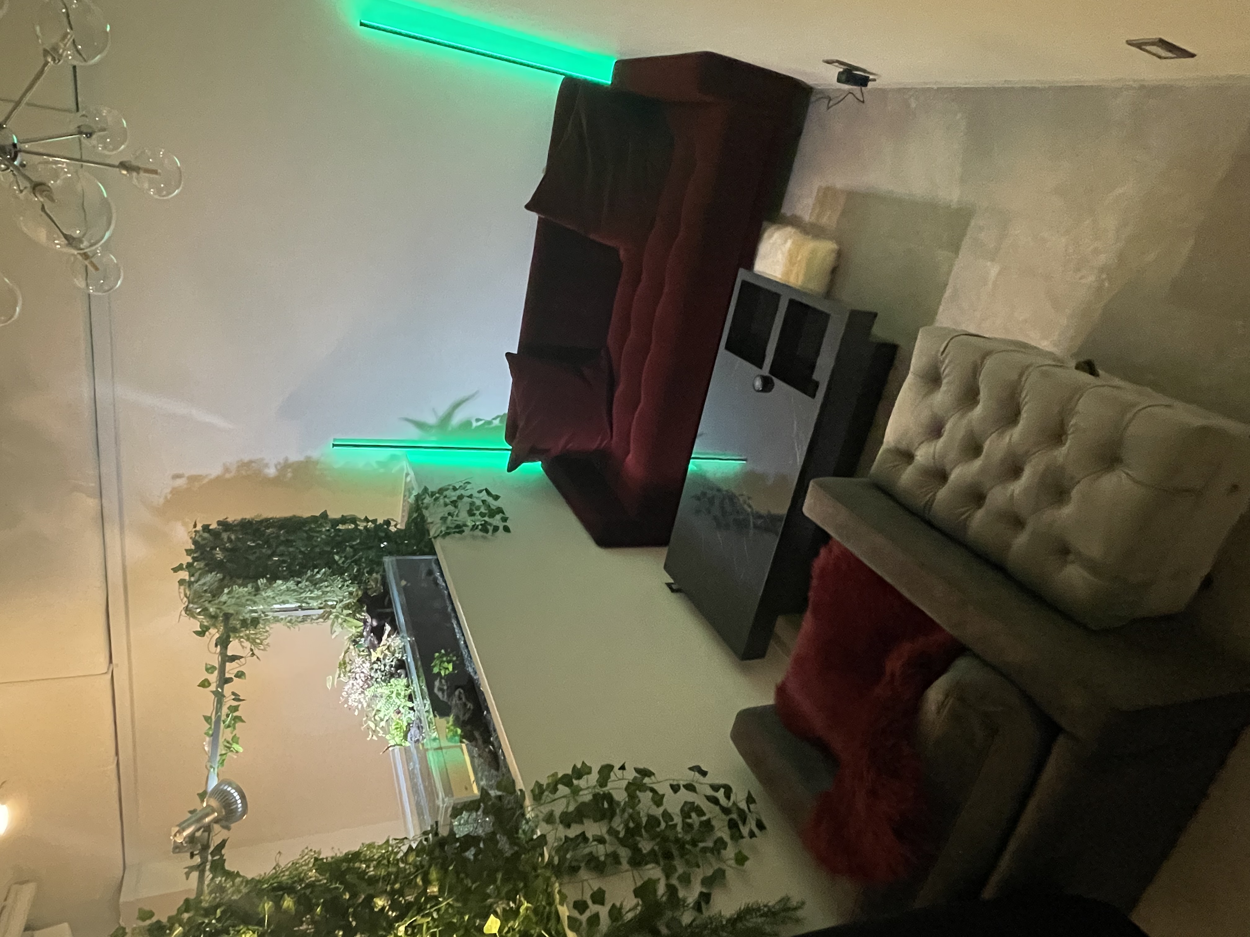 シーシャカフェ＆バー ケムリスト烏山店