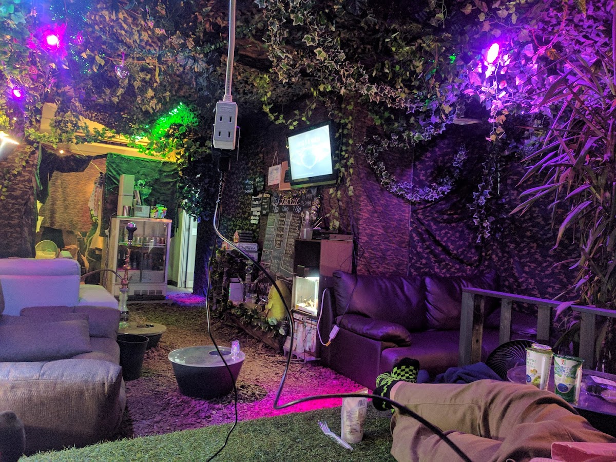 junglehaze