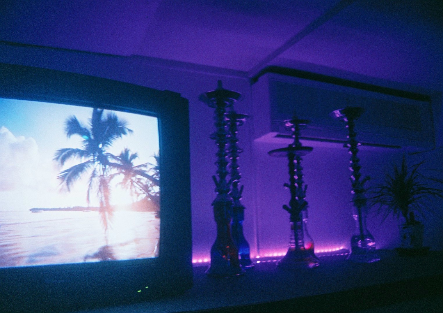 Hill’s Shisha (ヒルズシーシャ)