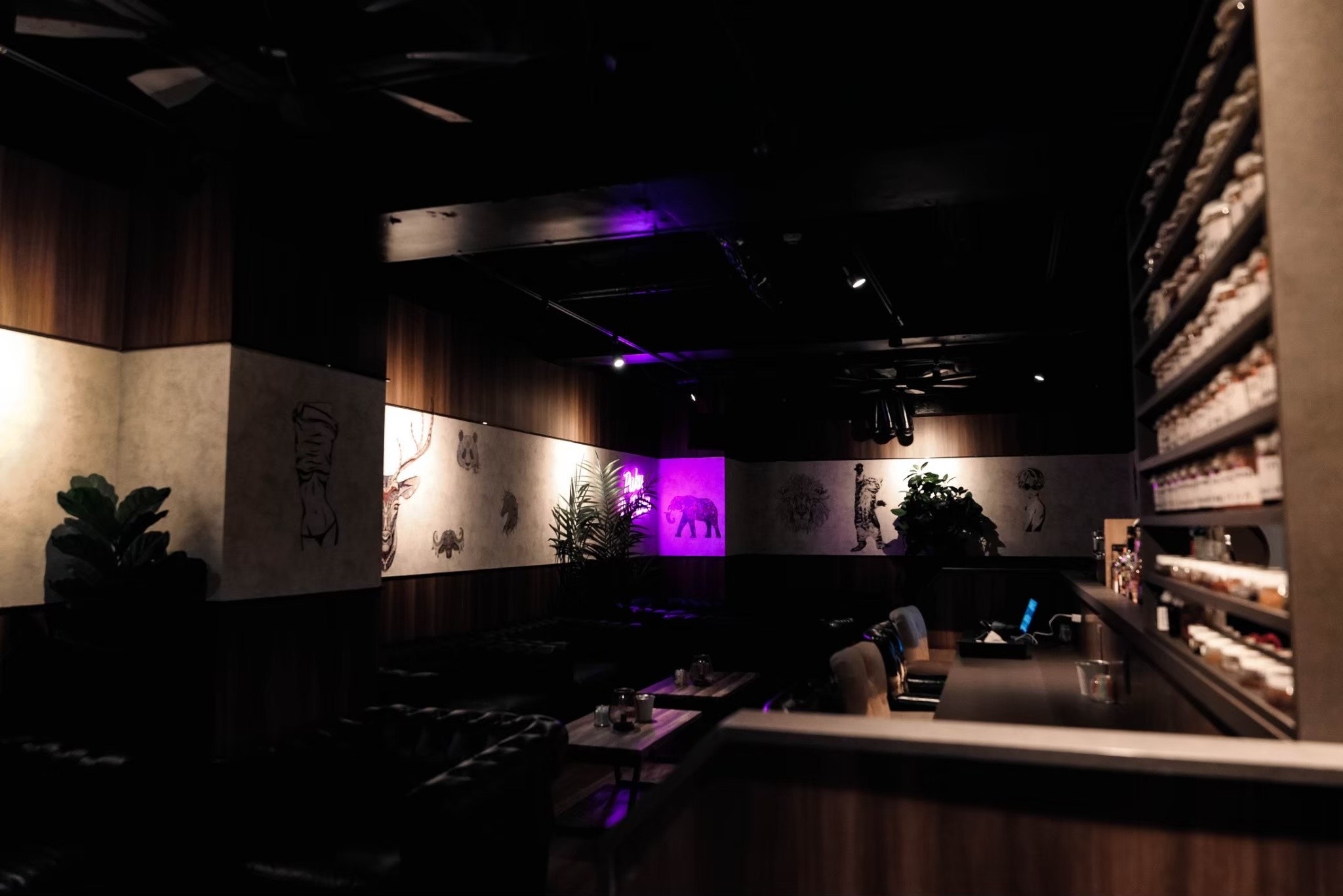 Shisha(シーシャ)Cafe & Bar PukuPuku(プクプク) 新橋店