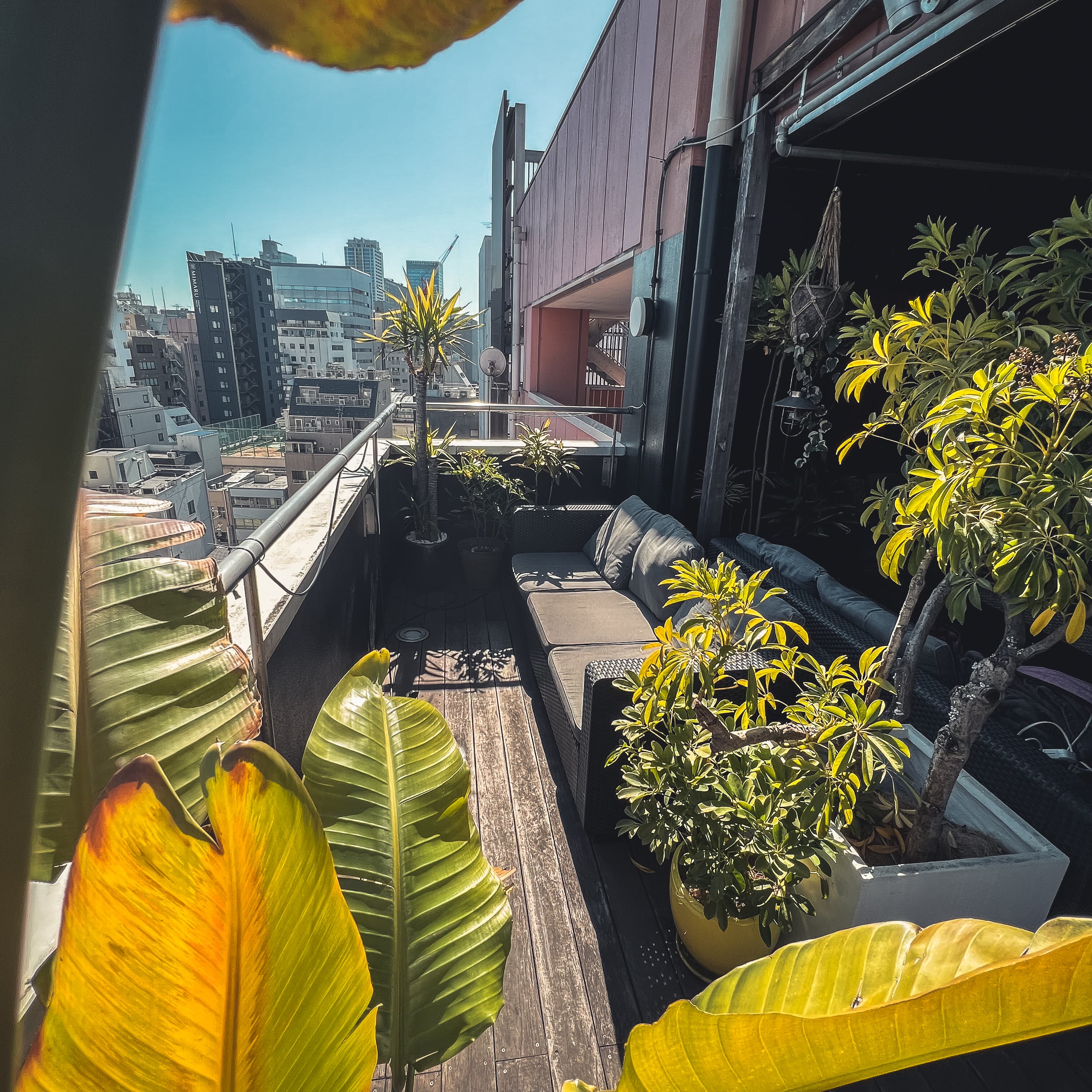 TRIBE Top Terrace -うえの水たばこ