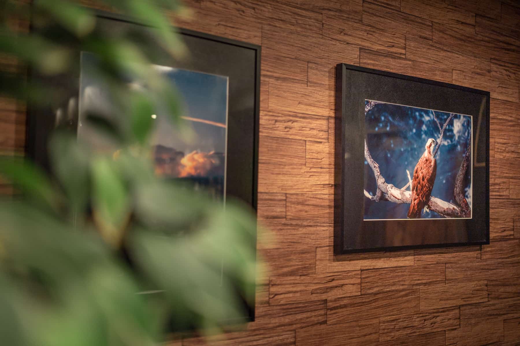 Shisha cafe&bar Boa BASE 六甲店