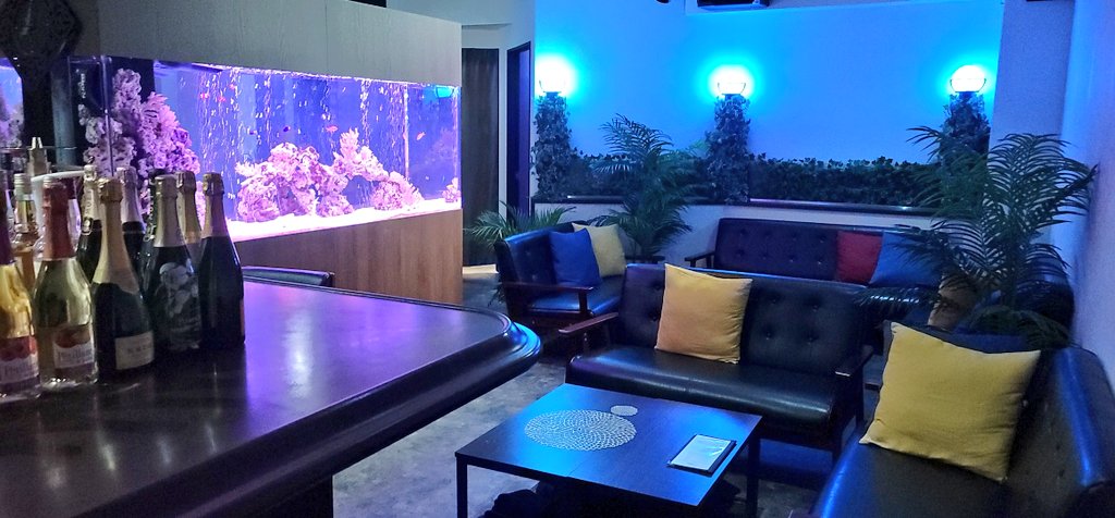 シーシャ バー URUPUKA shisha&bar (ウルプカ シーシャ アンド バー)シーシャ専門店