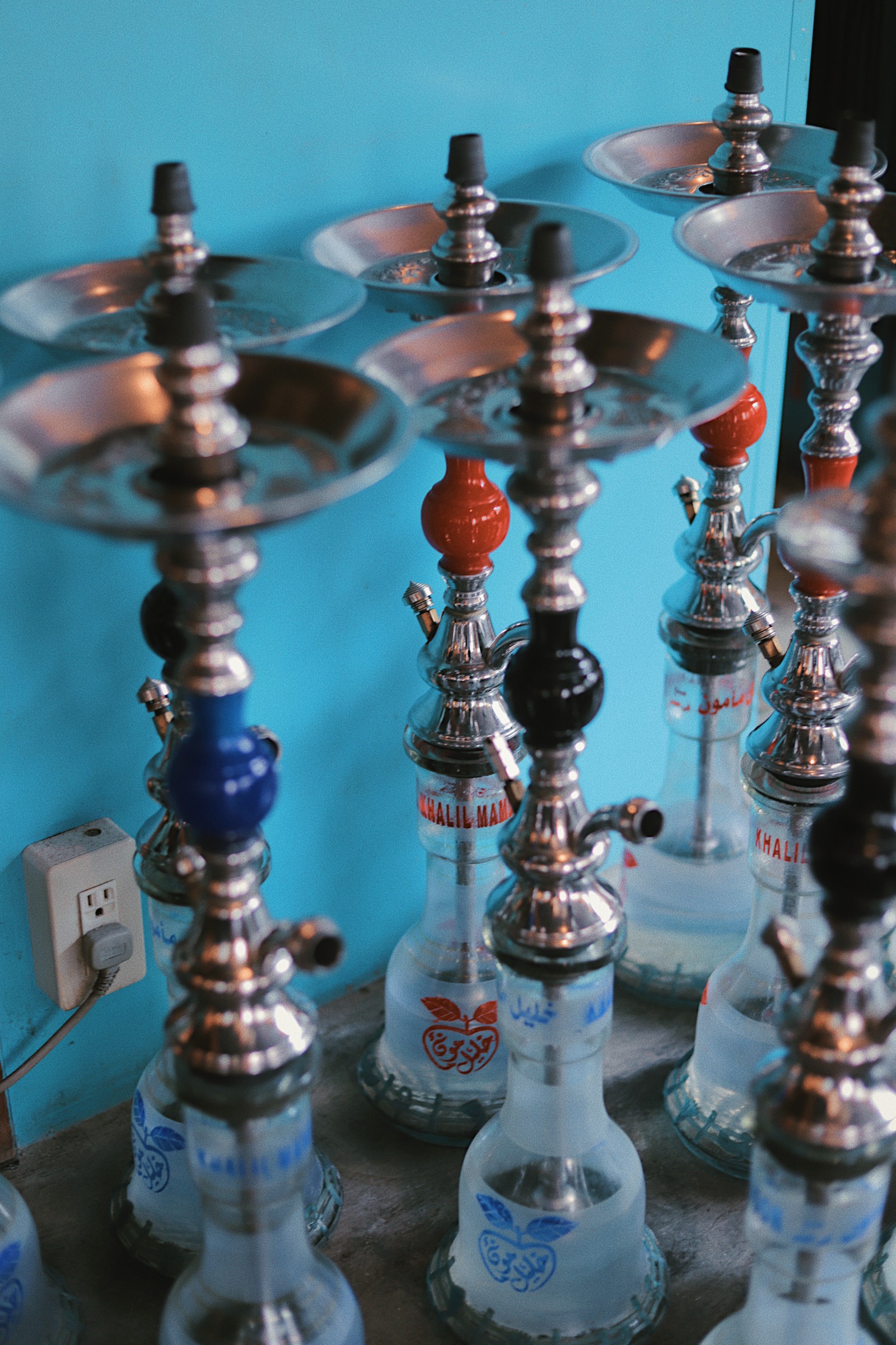 いわしくらぶ東京支店