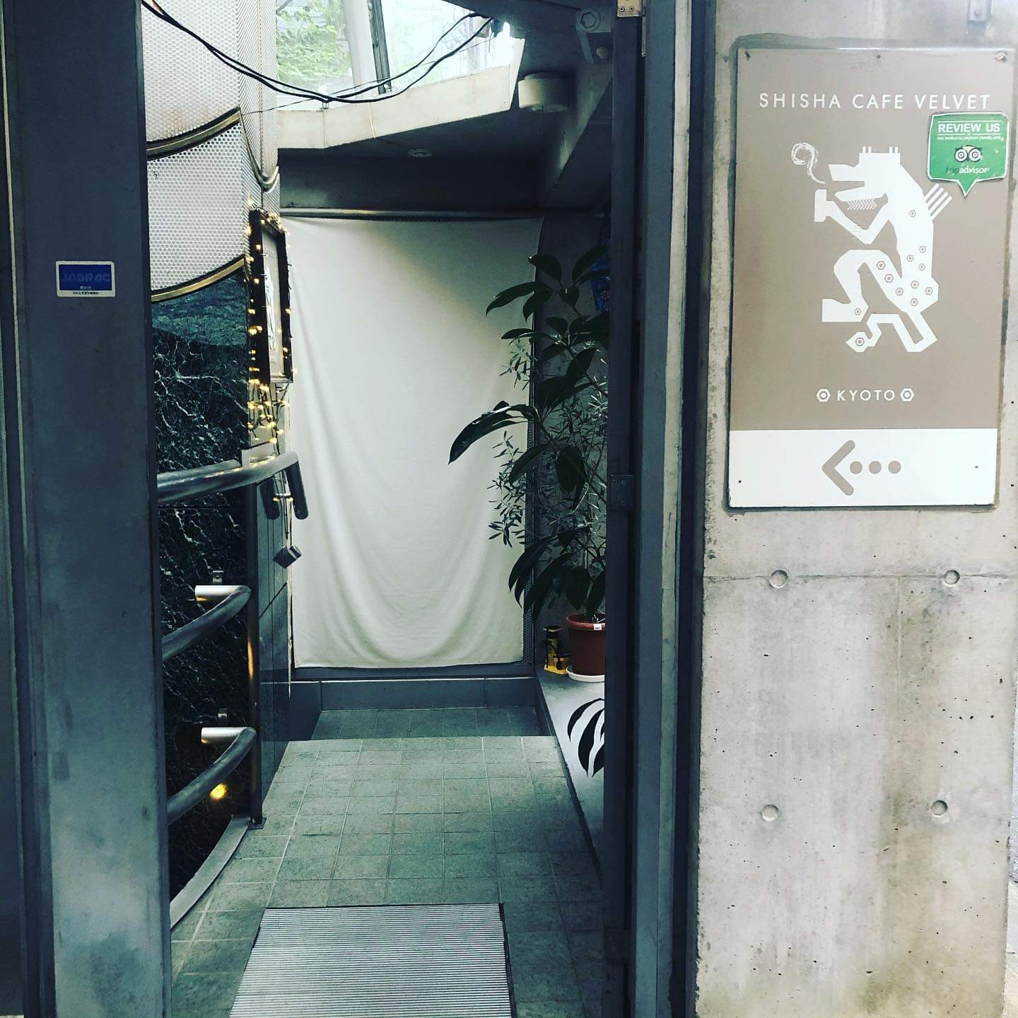 SHISHA CAFE VELVET KYOTO GION シーシャカフェベルベットキョウトギオン 2号店 フレーバー販売