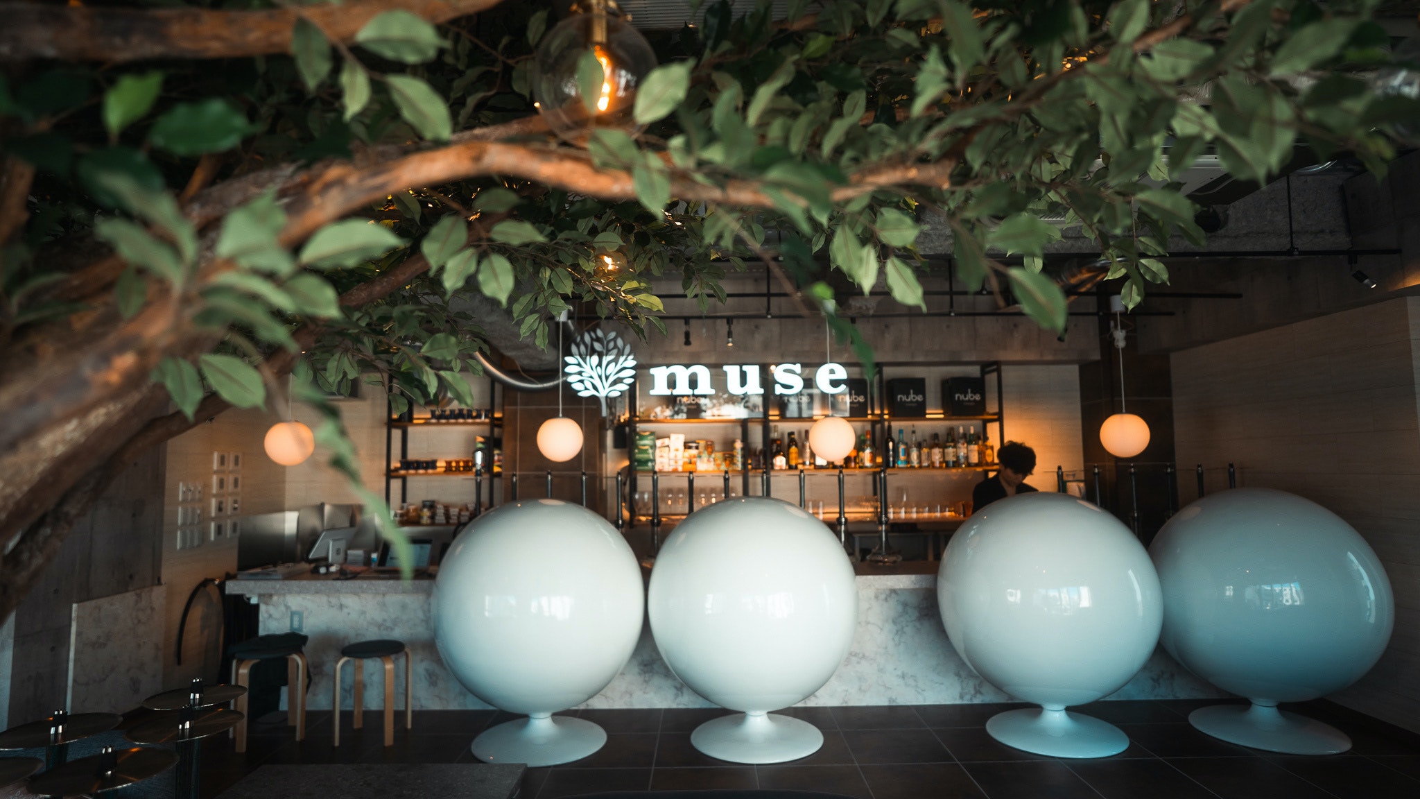 muse 六本木店