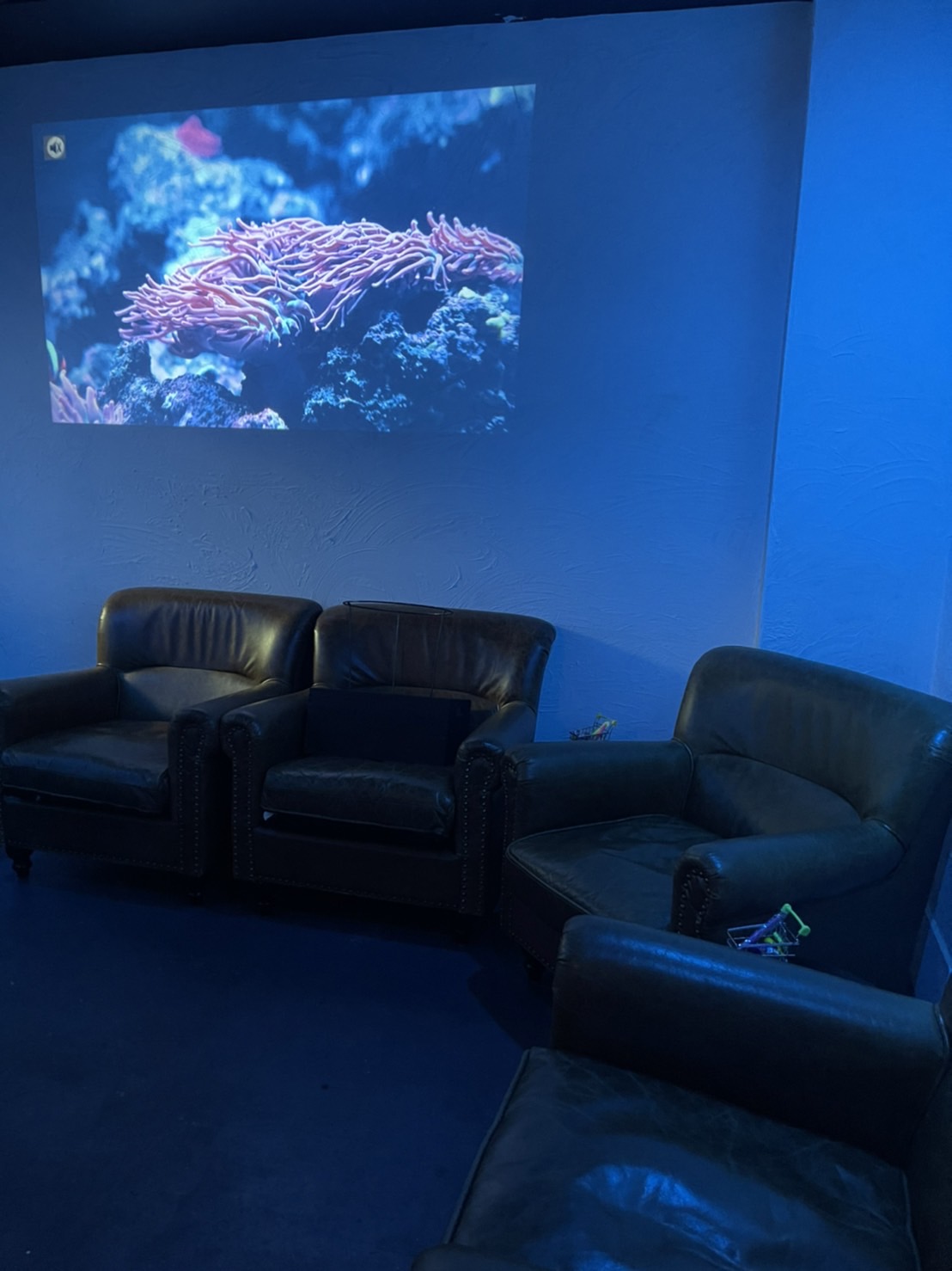 神が集うシーシャ屋 チルノカミ