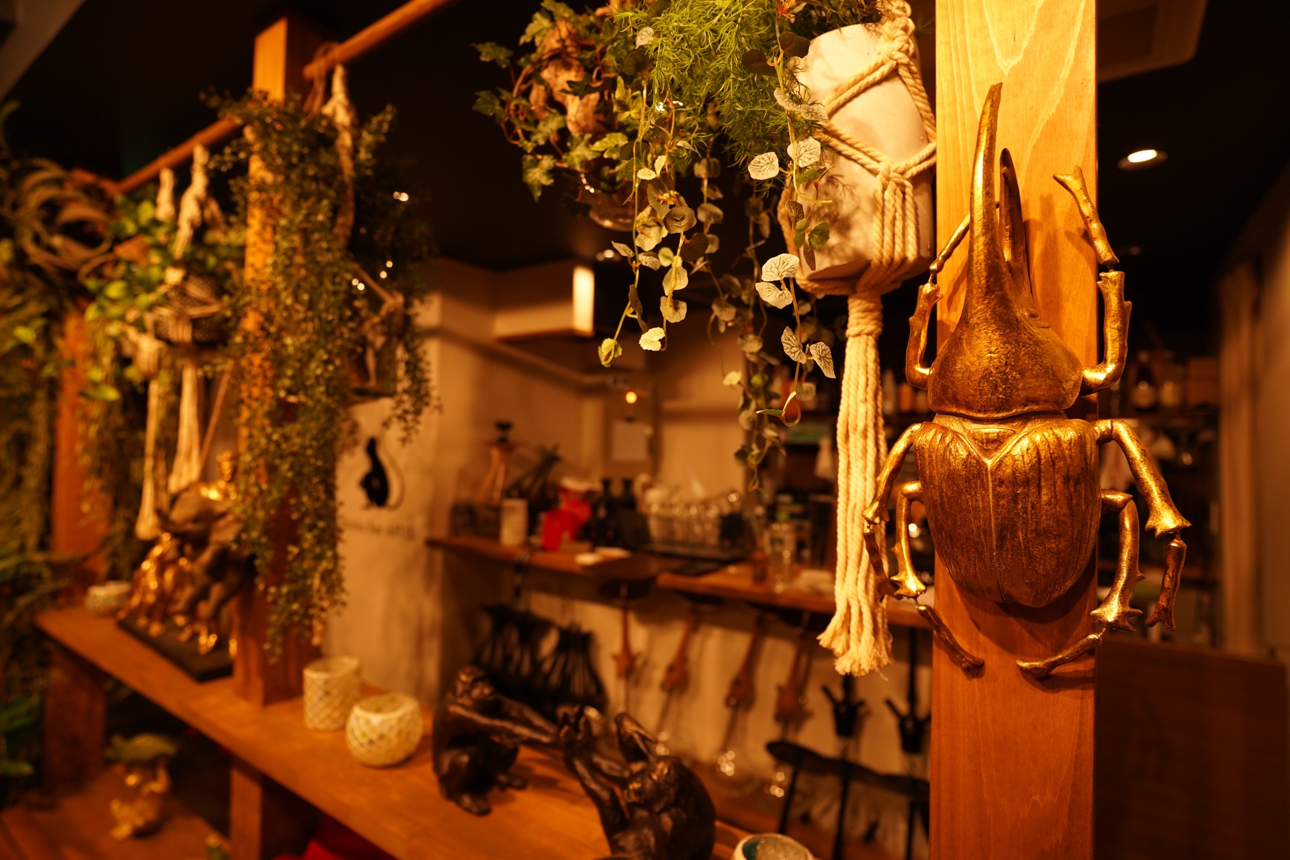 Shisha Bar ARTIS （シーシャバーアルティス）