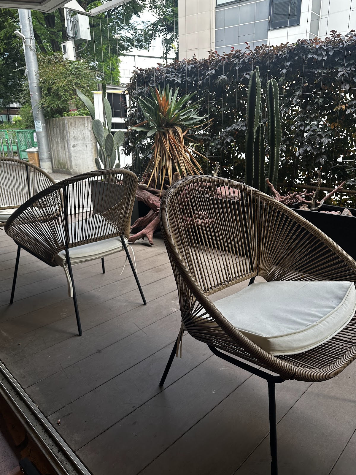 Shisha cafe＆bar CA6DEN（カルデン）六本木店