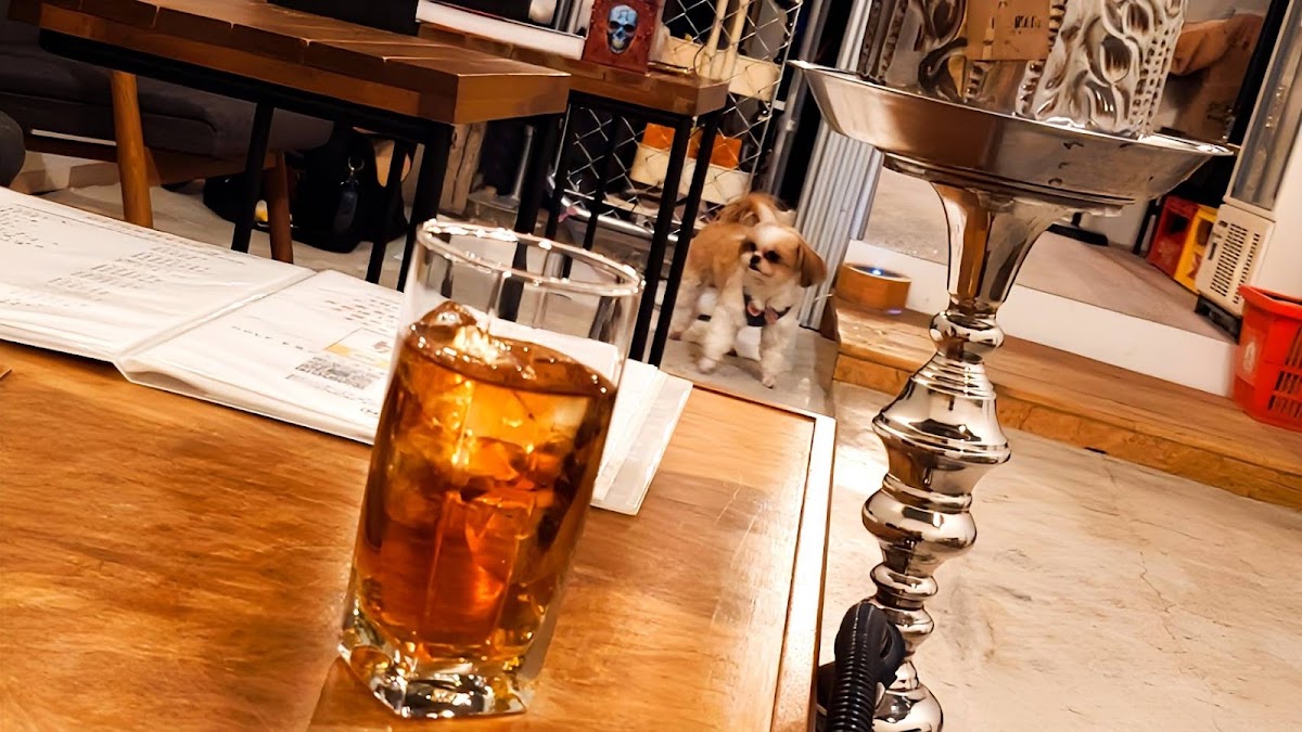 国分寺のシーシャガレージ HOLE(ホール）