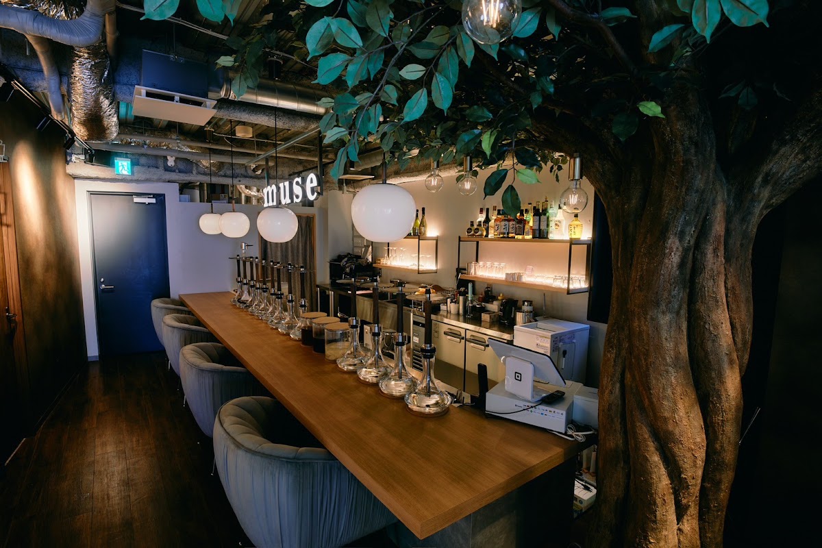 シーシャカフェ&バー muse(ミューズ) 下北沢店