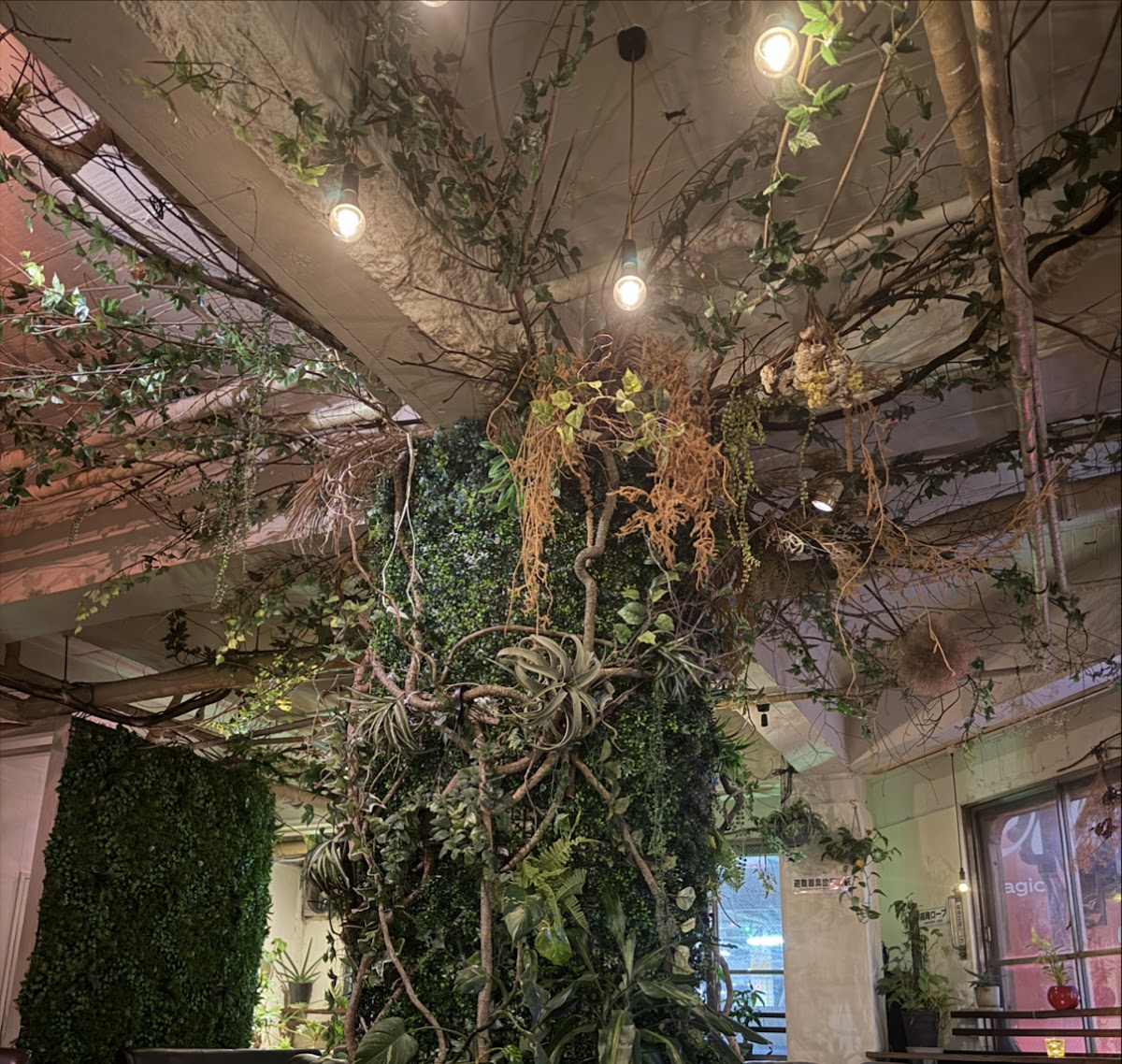 night cafe & shisha lounge moc TENMONKAN（鹿児島 天文館 夜カフェ シーシャ 深夜カフェ）