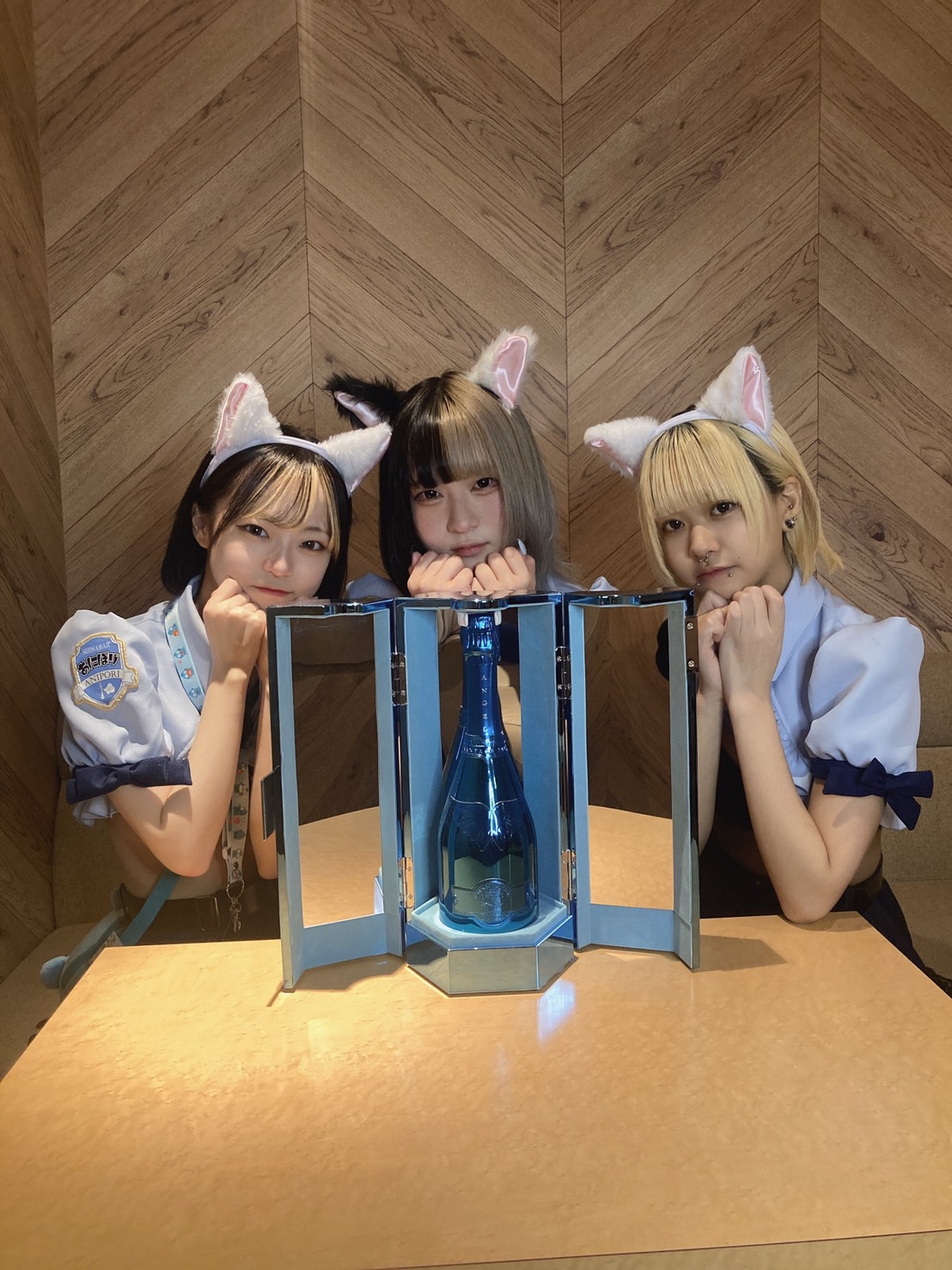 あにぽり
