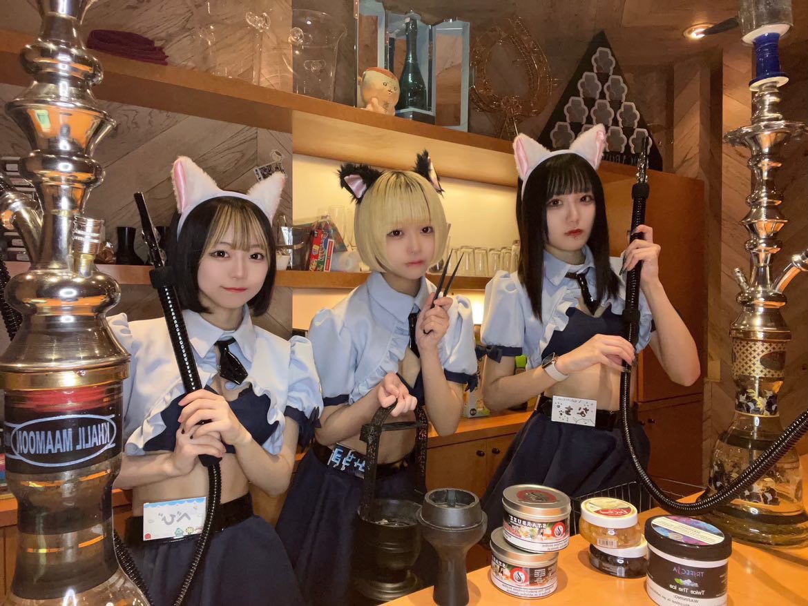 あにぽり