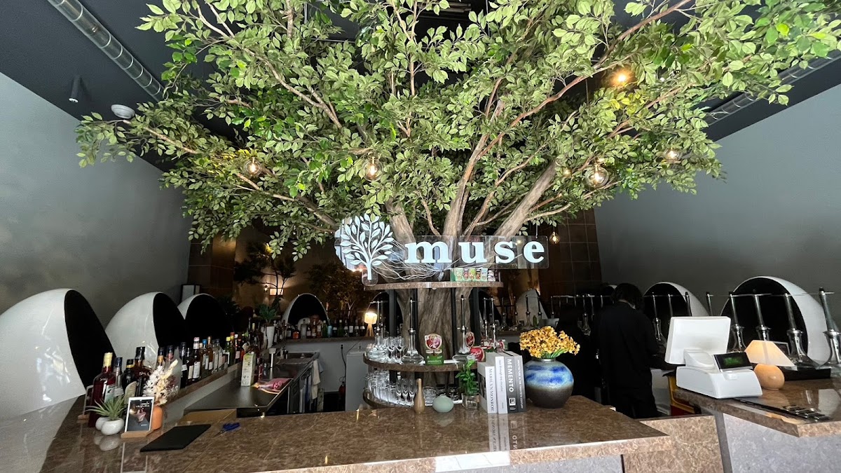 シーシャカフェ&バー muse/ミューズ 札幌店(hookah lounge muse)