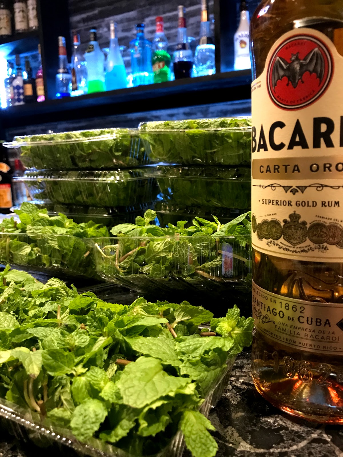 Bar Maura