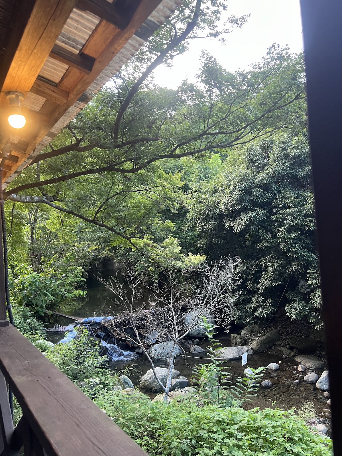 本厚木シーシャ 7thValleyHookah 七沢店